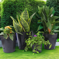 Grosir besar Monstera tropis Faux Bonsai plastik Evergreen tanaman benih hitam bernapas penanam rumah kantor pembibitan