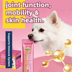 犬用OEM/ODM関節・皮膚サポートパウダー |   コラーゲン＆グルコサミンペットサプリメント - Product Image 3