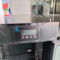 Armoire de Fermentation Commerciale pour Yaourt, Incubateur Laitier Noir à Porte Vitrée Simple, Sans Réfrigération