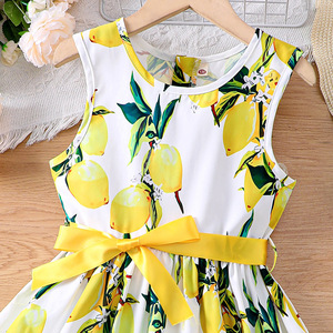 Robe d'été 2026 pour filles avec ceinture à nœud, personnalisation en gros, design de mode de haute qualité, robe pour enfants de petite et moyenne taille - Product Image 2
