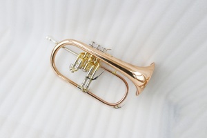 Flugelhorn Profesional FFG-300 de <span class=keywords><strong>Cobre</strong></span> Dorado, Acabado en Laca Transparente de Alta Gama, Instrumento de Alto Rendimiento en Sib con Estuche - Product Image 5