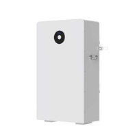 Batterie solaire de stockage d'énergie au lithium Lifepo4 Deye RW-F16 basse tension 51,2 V 314 Ah 16 kWh avec garantie de 5 ans