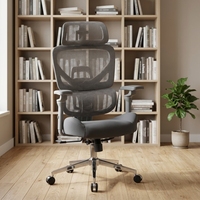 Chaise de bureau ergonomique en maille avec logo personnalisé, fournisseur en gros, chaise de travail pivotante durable avec base en fer, fabricant Chine