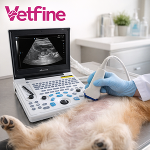 Ultrasone echografie-apparaat voor huisdieren, diagnostische ecograaf, digitale hart-echografie, zwart-wit PW-ultrasone scanner - Product Image 1