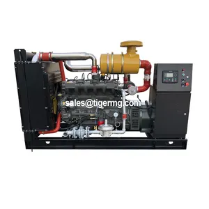 6 Cilinder Genererende 100kva 110kva 120kva 150kva 160kva 200kva 250kva 300kva Gas Elektrische Stroom Generator Ac Drie Fase