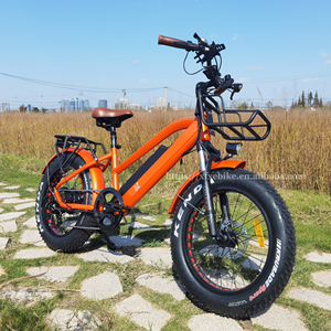 Expédition rapide Vélo électrique pour enfants de <span class=keywords><strong>20</strong></span> <span class=keywords><strong>pouces</strong></span> Pneu gras Step Thru E-Bike 48V 750W Vélo électrique pour enfants Vélo de ville électronique - Product Image 6