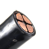 Harga Kabel Daya Berpelindung Multicore 95mm 120mm 240mm 300mm 0.6/1kV CU/XLPE/PVC