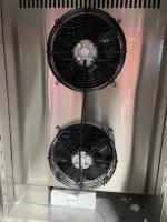 Congélateur à très basse température -45°C ° Congélateur à congélation rapide C pour thon, saumon, et produits de qualité sushi, pour chambre froide
