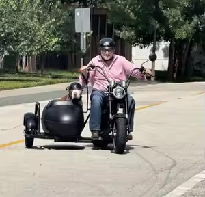 <span class=keywords><strong>Scooter</strong></span> Eléctrico con Sidecar, 4000W, Neumáticos Anchos, GPS, Impermeable, Plegable, Batería de Litio, Largo Alcance, 50km/h, para Adultos y Mascotas - Product Image 4