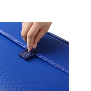 Nhựa thư mục tập tin tùy chỉnh kích thước <span class=keywords><strong>PP</strong></span> mở rộng thư mục tập tin - Product Image 3