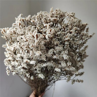 Geconserveerde bloemen Eeuwigdurend Limonium (Kristalgras) Arrangement Bloemboeket DIY Bruiloft Valentijnsdag Moederdag Kerstmis Huis