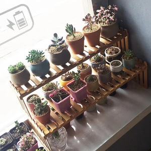 Bamboo Plant <b>Shelf</b> 2 Tier Desktop Organizer <b>Rustic</b> Ladder Indoor Multi Plant Stand Standing Type Rectangle Eco Friendly - Product Image 3
