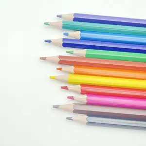 판촉 지울 수있는 플라스틱 색연필 12 멀티 컬러 드로잉 연필 세트