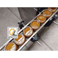 Machine de remplissage automatique MTW pour pâtes épaisses, liquides alimentaires et beurre de cacahuète, avec pompe à lobes rotative