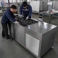 Machine industrielle commerciale de fabrication de blocs de glace en acier inoxydable pour le marché africain, grande machine industrielle de fabrication de blocs de glace en saumure, prix usine