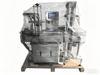 Machine de remplissage linéaire de liquides à double tête avec pompe magnétique