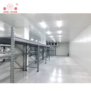 Factory Direct Sales 6*8*8 gas powered cold room cheru storage for fruits of 50 tons in nigeria cold store room