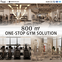 Solution de projet pour centre de fitness commercial de 800 m² : équipement de musculation, machines de cardio-training pour hôtels et clubs - Chine