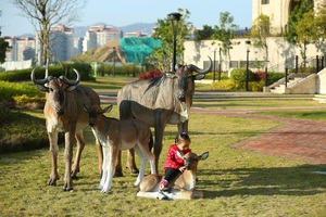 Estatua de caballo Artificial de tamaño real, estatua hecha a mano de fibra de vidrio, Animal realista para decoración de parque - Product Image 5