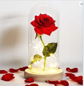 Led Glass Dome with Wood Home Decoration Base Valentine Gifts Clear Preserved Rose Gift Box Love Eco-friendly