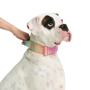 Hangschräg Schwerlast Regenbogen Metall 2-Zoll taktischer Haustierkragen Kampffäne mit Komfort Neopren-Hundehalsband für Training