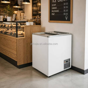 Congelatore orizzontale piccolo OEM con marchio personalizzabile, con ripiani regolabili per <span class=keywords><strong>gelateria</strong></span> e dessert surgelati - Product Image 1