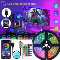 Lampu LED 5V 5050 RGB Strip Tujuh Warna USB Epoxy ABS Tahan Air 24 Tombol Lampu Suasana Latar Belakang TV Daya Tahan 50000 Jam