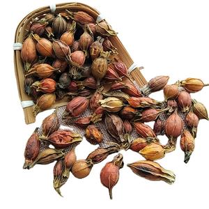 Zhi Zi saveur thé chinois naturel séché gardénia fruits jaune Cape thé au <span class=keywords><strong>jasmin</strong></span> - Product Image 1