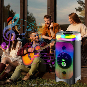 Altavoz Inalámbrico DP-697 con Bajos Potentes, Altavoz Estéreo para Karaoke, Fiestas, <span class=keywords><strong>DJ</strong></span>, Sistema de Sonido para Cine en Casa - Product Image 6
