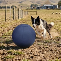 Funda Protectora para Balón de Fútbol, Resistente al Agua, para Perros y Caballos, Tamaño Personalizado, Marca Leadershow