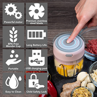 Mini Robot Culinaire Électrique Portable et Sans Fil Rechargeable de 250 ML avec Lame en Acier Inoxydable, Hachoir à Ail