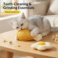 Produsen Mainan Kucing Spons Luffa, Mainan Kunyah Alami dari Tanaman, Catnip Perawatan Gigi, Mainan Hiburan Kucing Tanpa Bau, Grosir Mainan Hewan Peliharaan