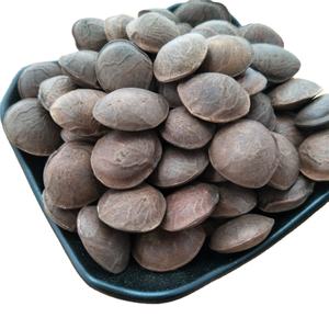 หยินเจียกั๋ว ขายส่งซาชาอินชีออร์แกนิกแห้ง (Plukenetia Volubilis) สำหรับทำน้ำมัน - Product Image 1