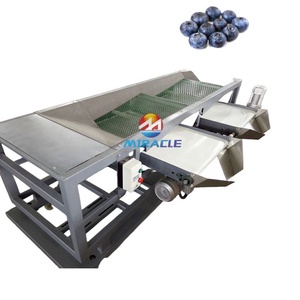 Equipo Automático de Clasificación de Frutas, Máquina Comercial de Clasificación de Arándanos para Fresas, Frambuesas y Bayas - Product Image 3