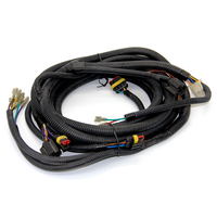 Harnais de câblage électronique automobile personnalisé pour injecteur de carburant de camion, moteur LS - PVC+Cuivre 12V/30V