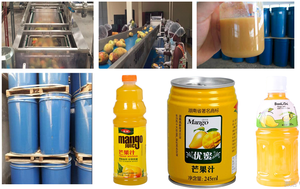 Chìa khóa trao tay xoài bột giấy & tập trung thực vật | puree, nước trái cây, mứt & khô xoài thiết bị chế biến - Product Image 5