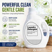 Détergent à lessive liquide personnalisé OEM/ODM de haute qualité, nettoyage efficace pour un usage quotidien, best-seller en Europe et aux États-Unis