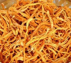 Fresh Whole Raw Cultivated Cordyceps Militaris <b>Mushroom</b> From Maharashtra India | 45-Day Shelf Life | Shubhalaxmi Food Industry - Product Image 2