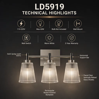 Lampe miroir murale moderne en nickel, fer et verre avec LED blanc chaud, installation facile pour l'éclairage de la salle de bain