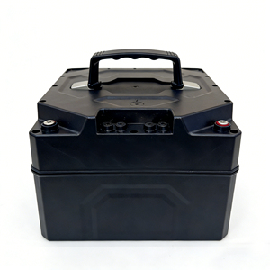 Environmentally Friendly <b>48V</b> 30Ah <b>Battery</b> Pack for Tricycles - Product Image 4