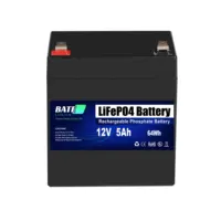 12 Volt Lithium Ion 5Ah Oplaadbare Lifepo4 Batterij Ingebouwde 5A Bms Onderhoudsvrij Batterij Voor Trolling Motor & vis