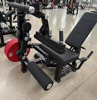 Machine d'entraînement latéral assis et debout, Station professionnelle de levée latérale des épaules avec bras réglables pour la poitrine et le dos