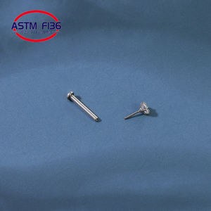 थोक G23 ASTM F136 टाइटेनियम पिन प्रकार स्टड कान की बाली फैशन जिक्रोन कान भेदी शरीर के गहने - Product Image 3