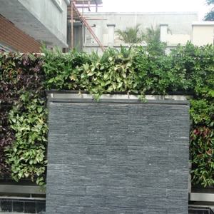 ถาดปลูกต้นไม้ติดผนังแนวตั้ง ตกแต่งผนังด้วยดอกไม้และพืชสีเขียว ทำจากพลาสติก - Product Image 6