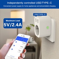 Enchufe Inteligente WiFi Tuya Smart OEM 16A EU Schuko con Monitor de Energía USB a C