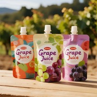 100ml 250ml 350ml imprimé personnalisé réutilisable de qualité alimentaire boisson liquide lait raisin jus de fruits bec pochettes d'emballage