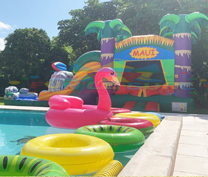 Château gonflable pour enfants, jeux gonflables, toboggan combiné Lion King - Product Image 6