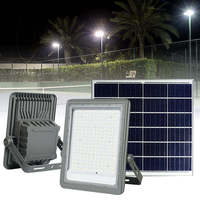 Projecteur solaire super lumineux Shingel 1000W 2000W, projecteurs solaires en gros d'usine, éclairage étanche IP67