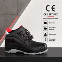 Chaussures de sécurité imperméables, antidérapantes, antistatiques, 1000 MΩ, avec embout en acier, anti-perforation, pour les industries de la construction