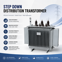 Transformateur de distribution abaisseur DELIJIA triphasé 50/60Hz 10kV 11kV 35kV vers 110V 220V 380V immergé dans l'huile
